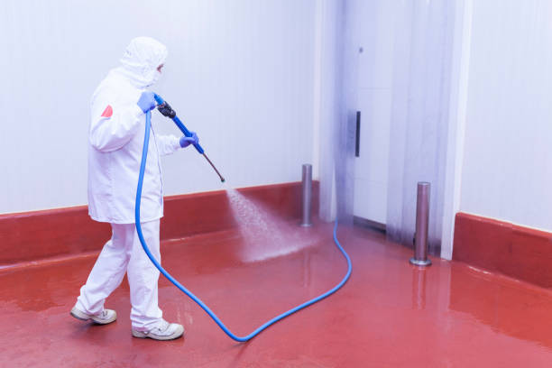 Best Gutter Cleaning and Brightening in Plainsboro Center, NJ